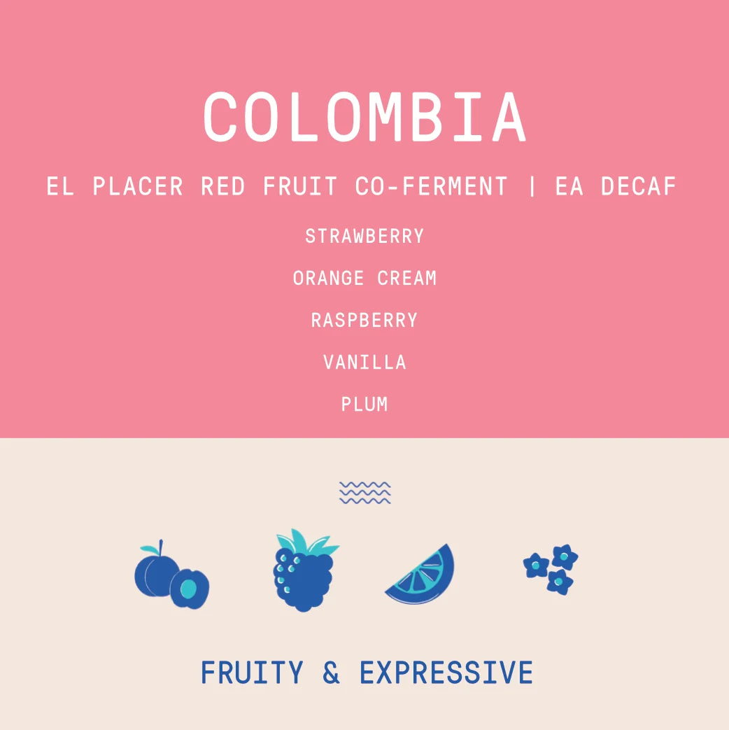 كولومبيا – إل بلاسير (El Placer) | تخمير بالفواكه الحمراء (Red Fruit Co-Fermented) | EA Decaf